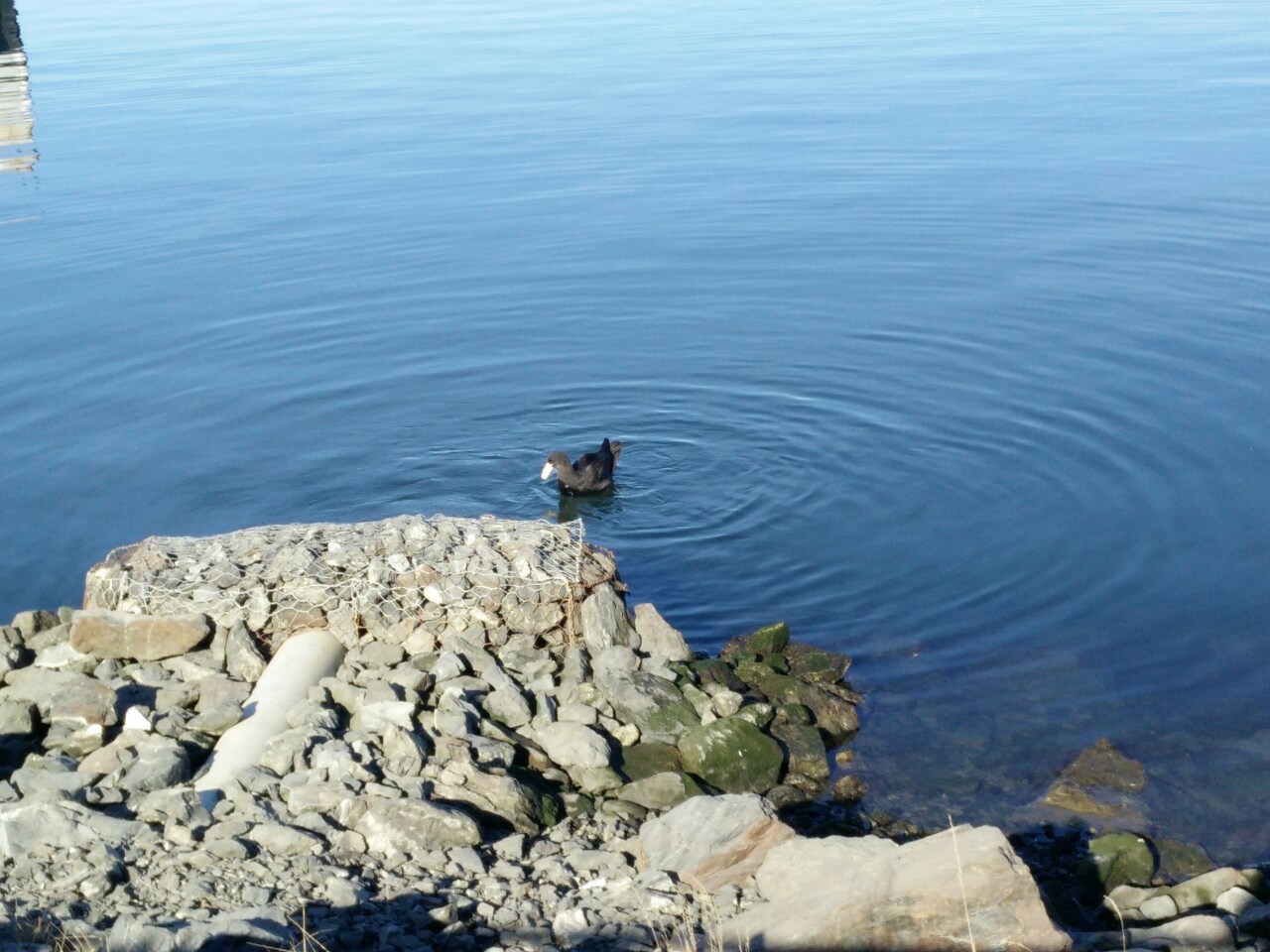 Ushuaia, Argentina(2022)-1