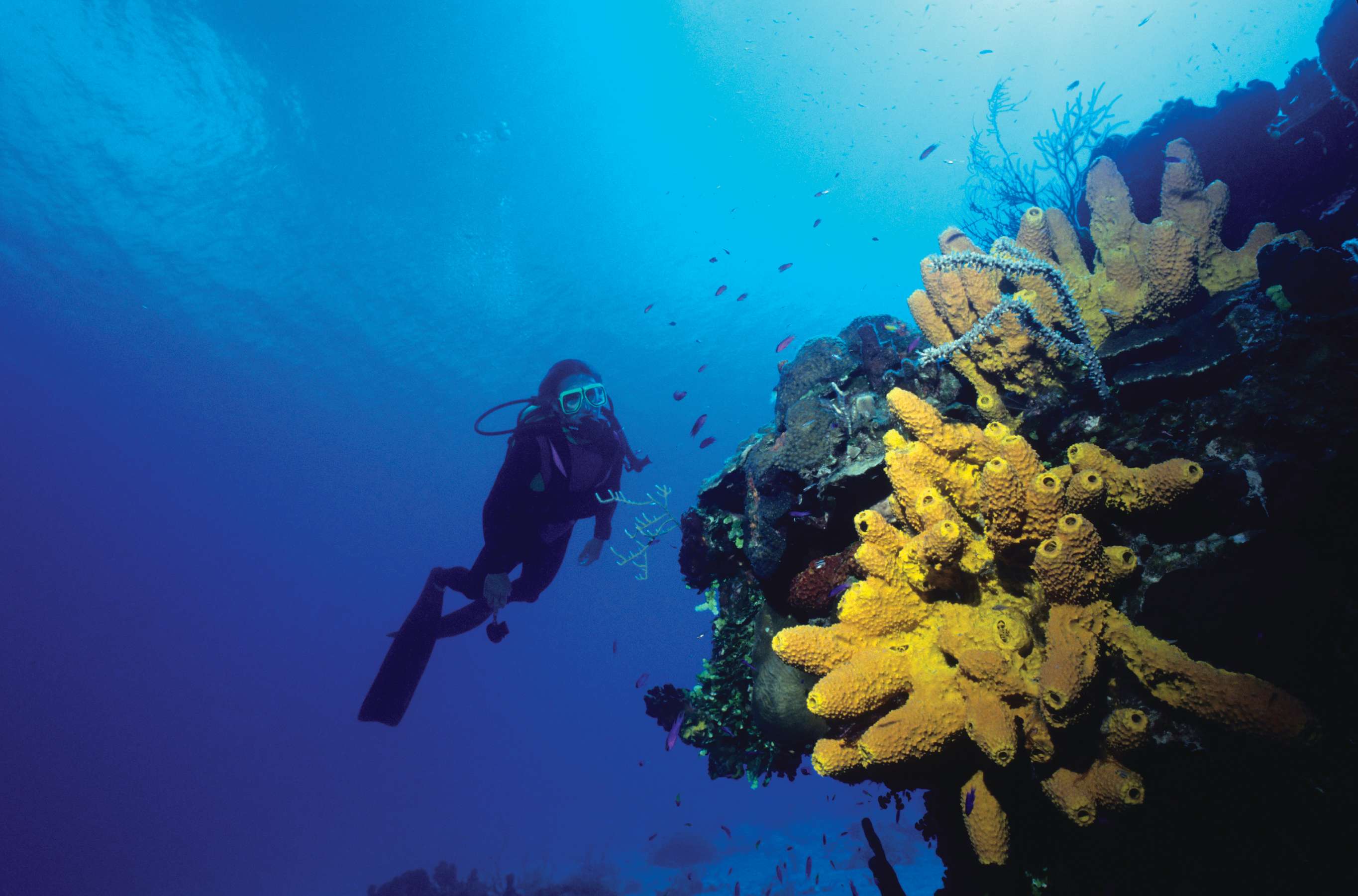 Grace Bay Club（特克斯和凯克斯群岛）-14