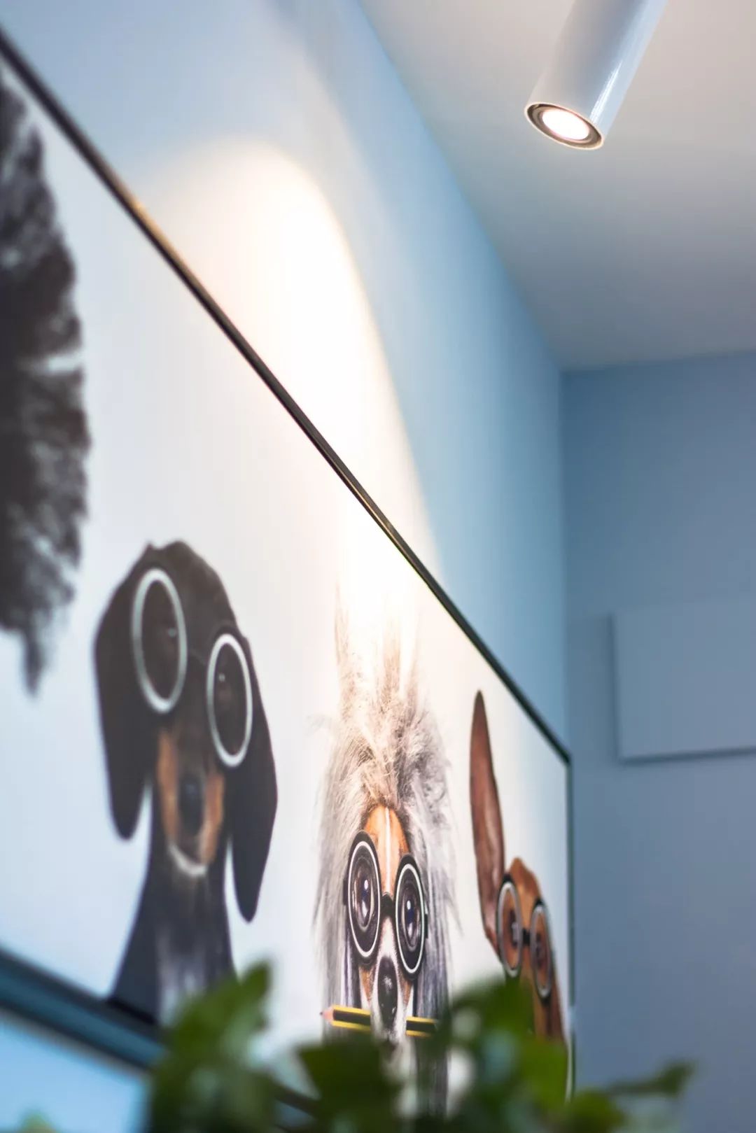 88㎡北欧阳光宅地,感受旅行与狗粮的浪漫-3