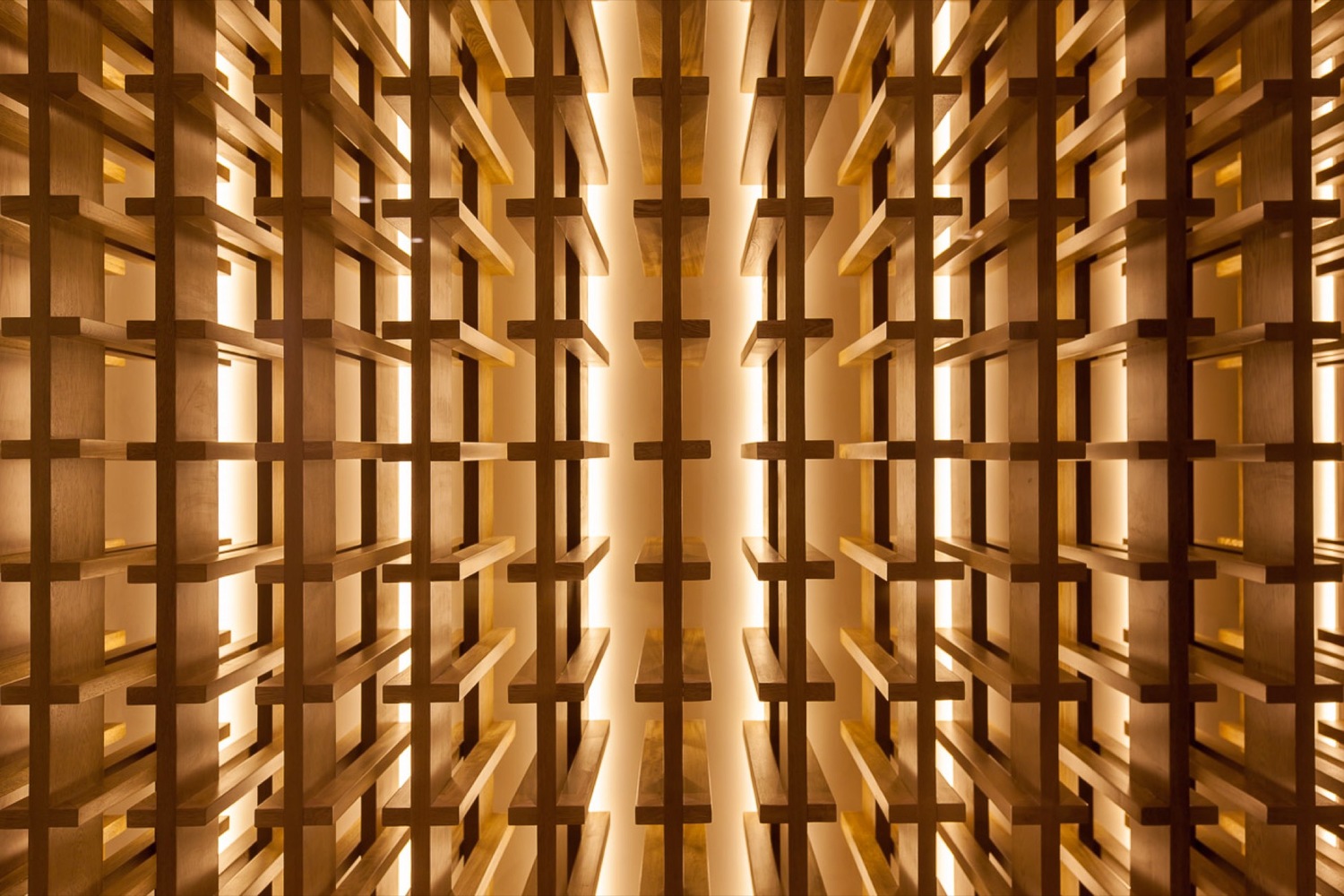 40 岁卡萨 · 与自然共生的单一层次住宅-44