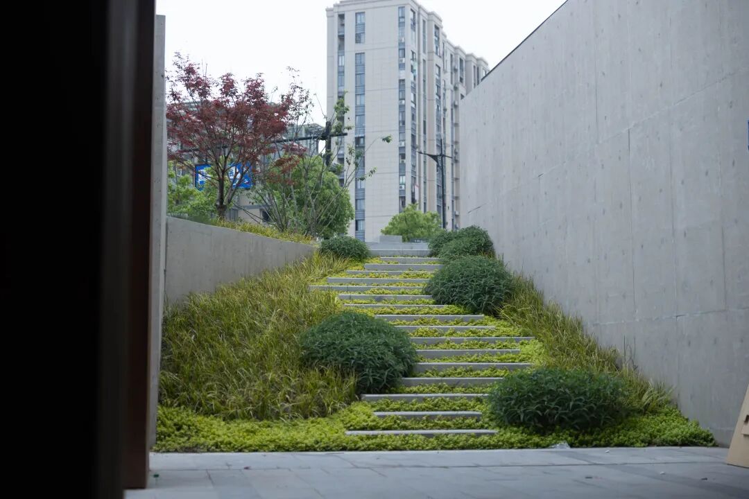 农贸市场设计案例｜菜场变身艺术生活场，“转塘南街菜市”如何重构市井空间？-44