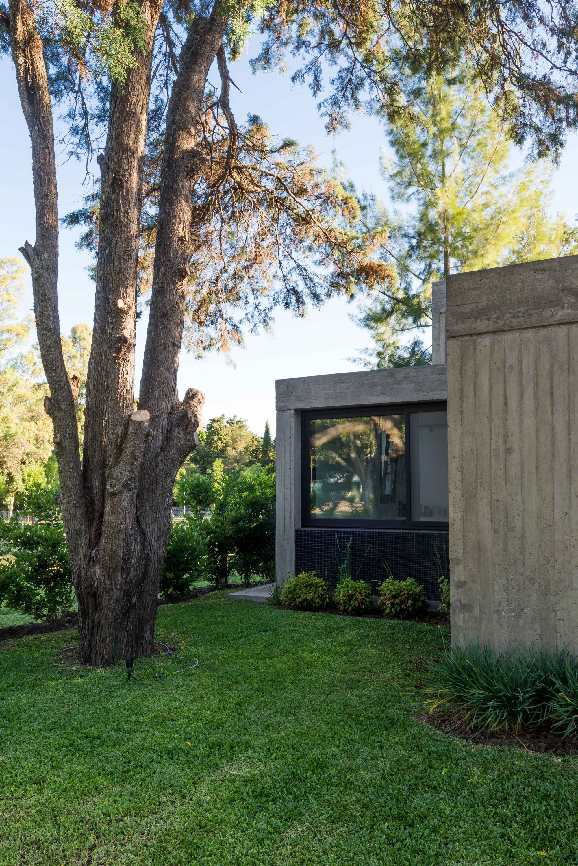 房子丨阿根廷拉普拉塔丨Gianserra + Lima arquitectos-31