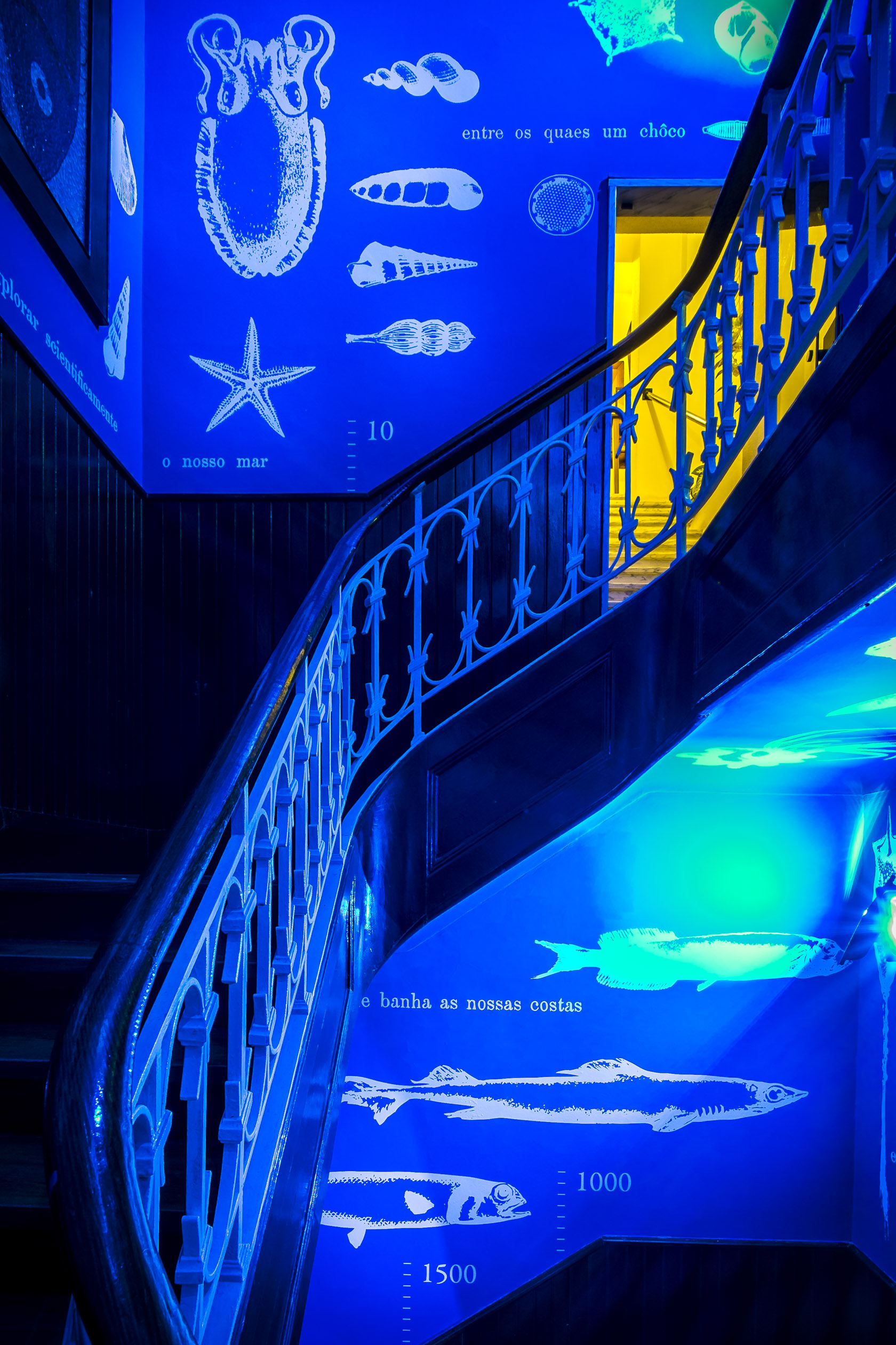 aquario vasco da gama-13