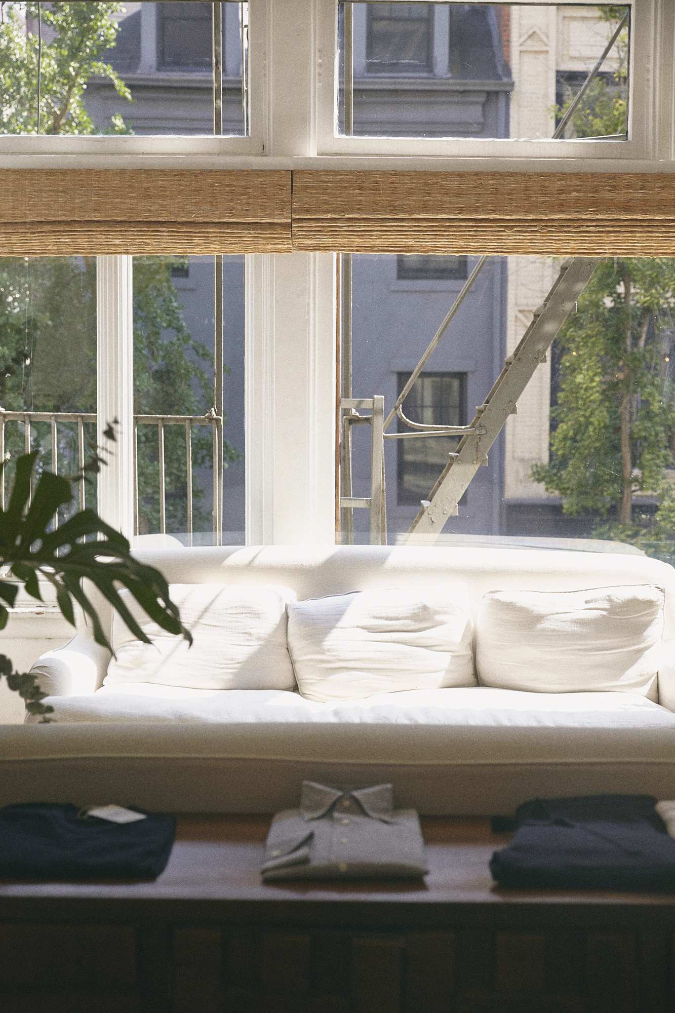 美国 | p. johnson | 服装店 | 2015 | Tamsin Johnson-18