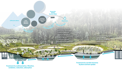 The Ellen DeGeneres Campus of the Dian Fossey Gorilla Fund | MASS Design Group-69