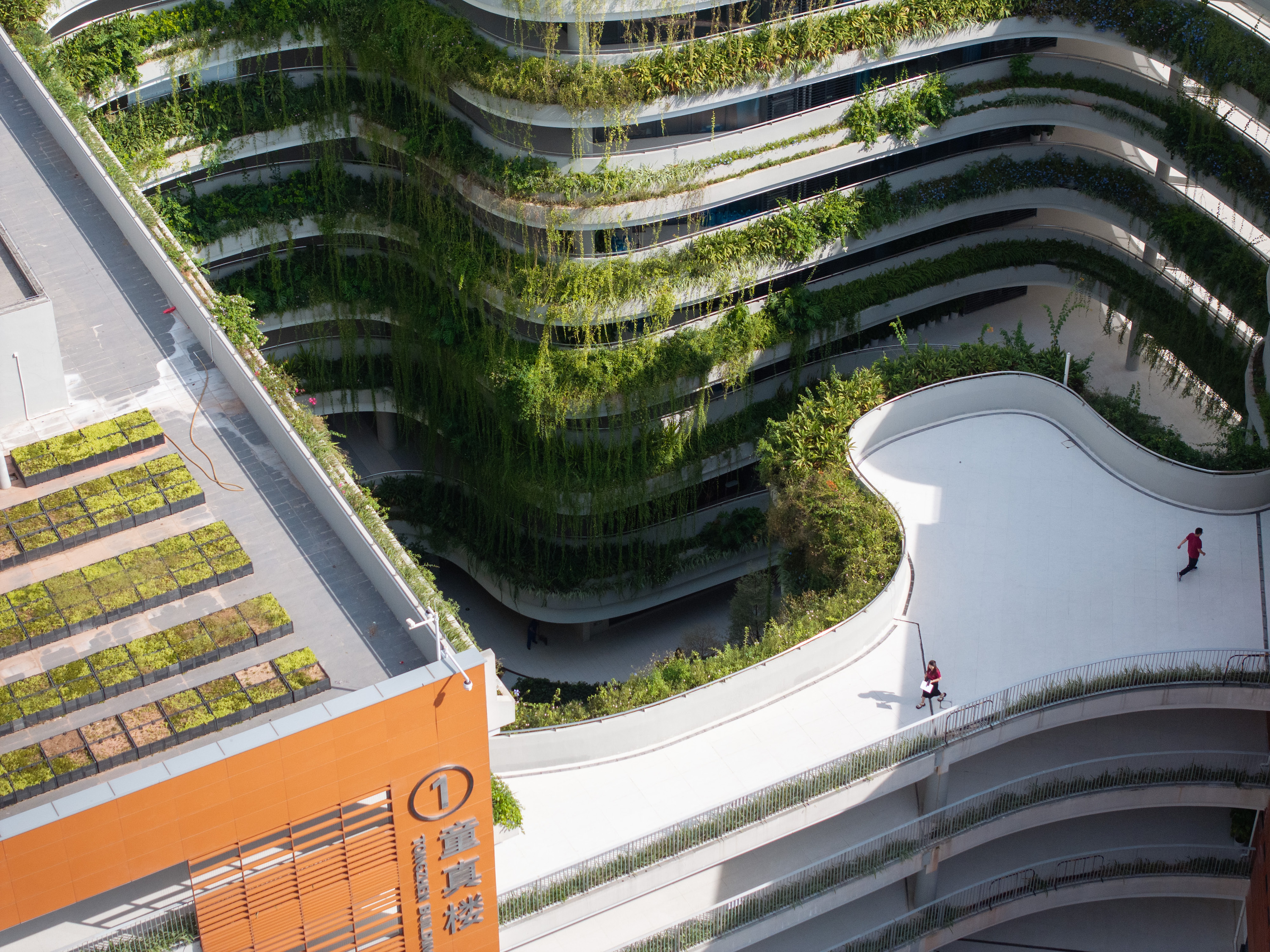 红岭教育集团 华富实验学校丨中国深圳丨大小景观,深圳市建筑设计研究总院有限公司,广州天泓-102