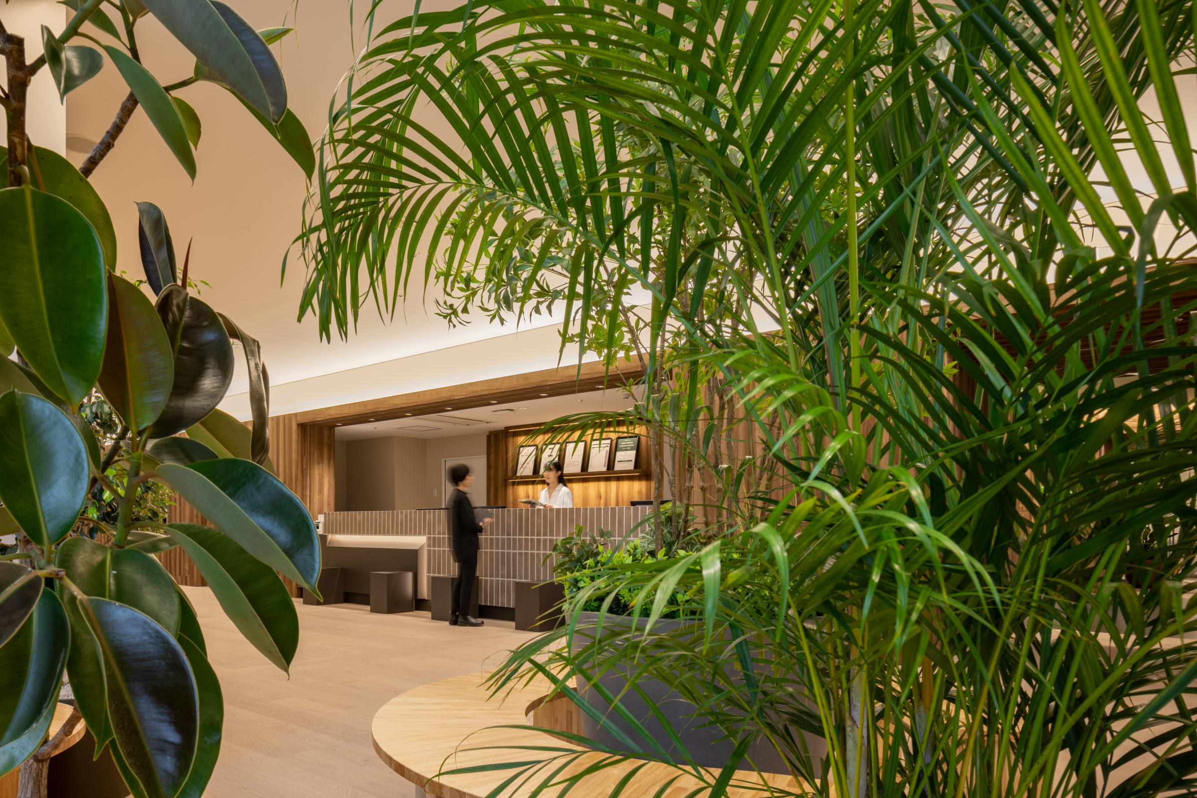 カラダテラス海老名｜FIELD FOUR DESIGN OFFICE丨日本神奈川丨E.Izutsu,K.Ito-4