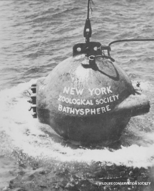 Bathsphere球形玻璃浴缸设计丨Alexander Zhukovsky-12