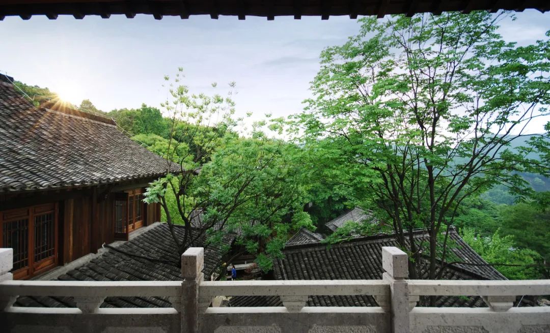 杭州“山中茶街”文化博览园景观丨中国杭州丨杭州园林设计院股份有限公司-21