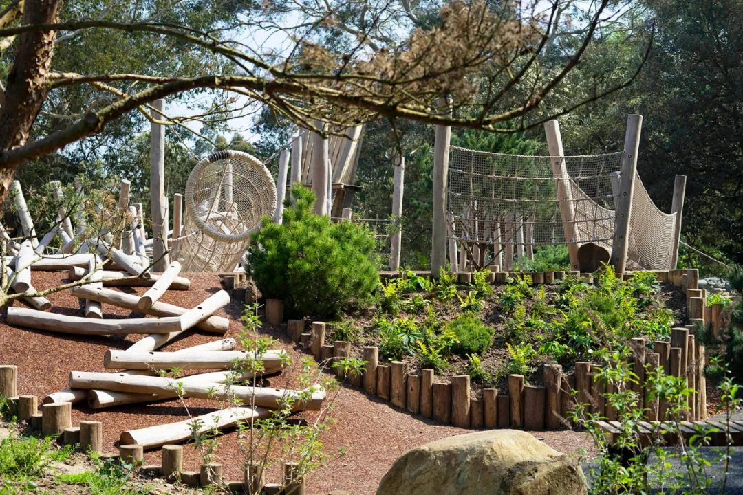 英国皇家植物园儿童花园丨Suzie Jewell-48