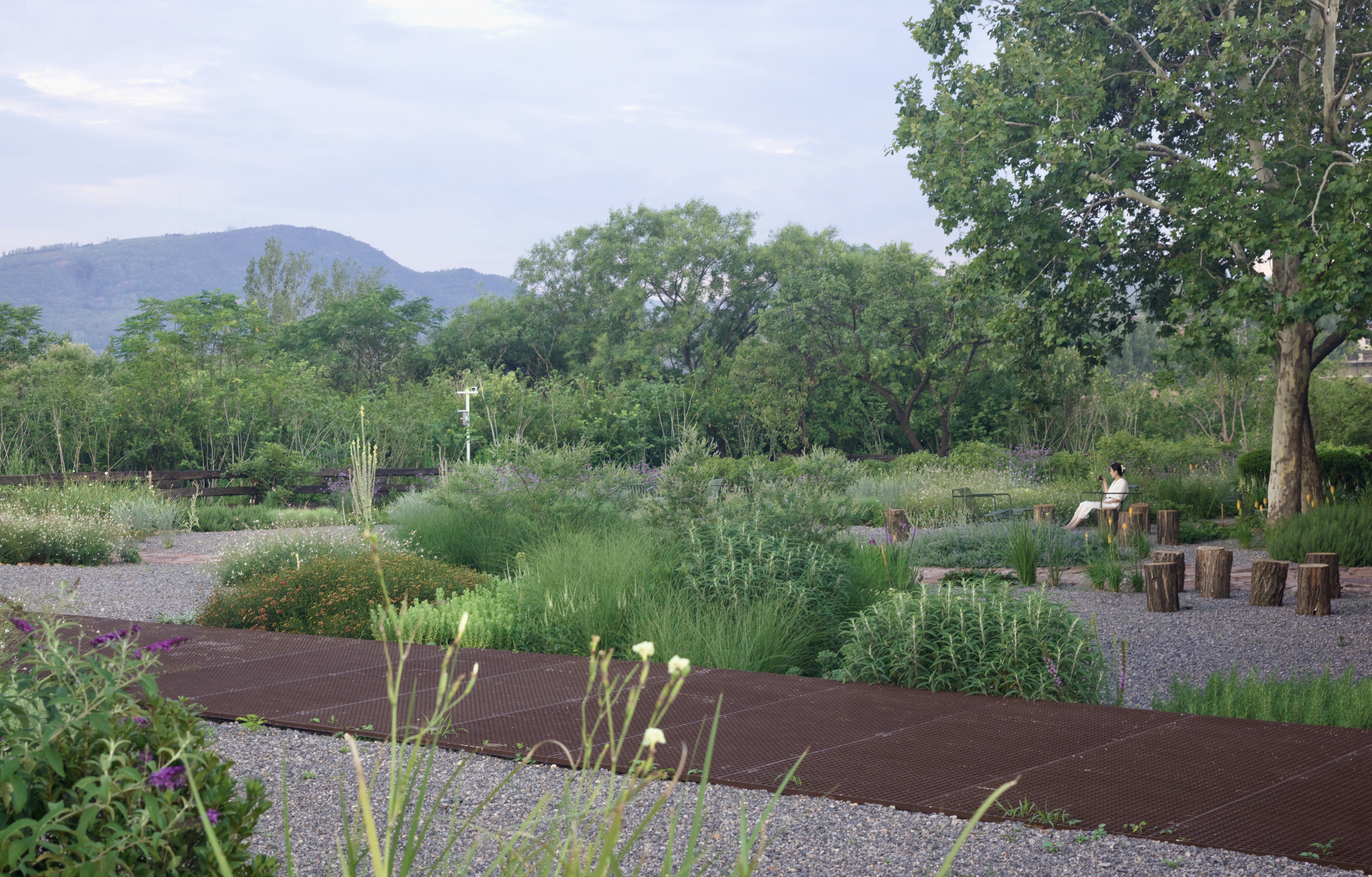 谷堆白沙 一期 景观丨中国白沙丨boll是园-171