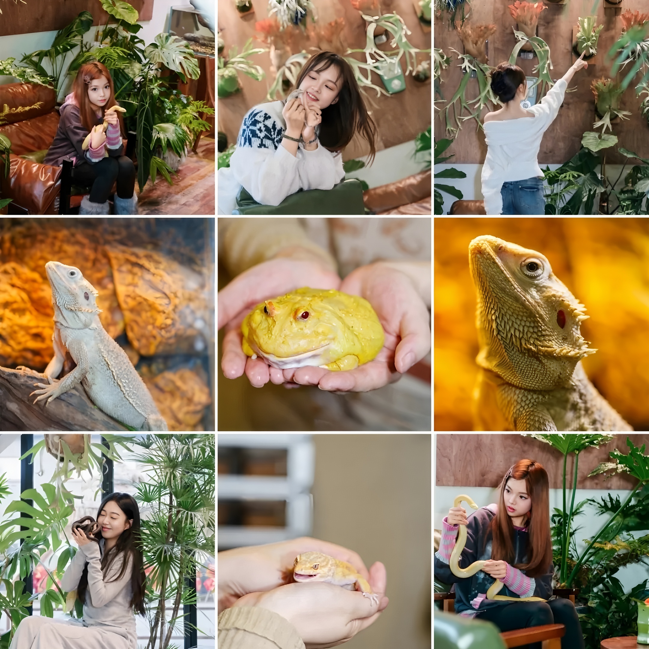 《绿觅 · 尾巴屋》西安宠物店丨中国西安丨陕西梁辰造物建筑设计-40