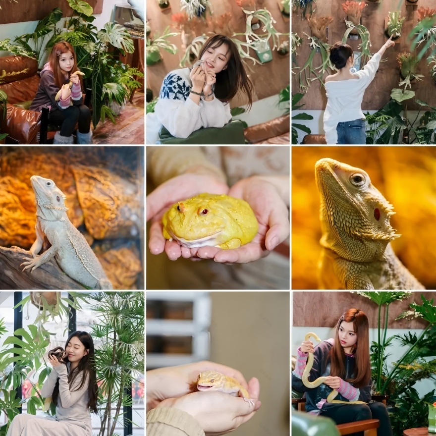 《绿觅 · 尾巴屋》西安宠物店丨中国西安丨陕西梁辰造物建筑设计-40