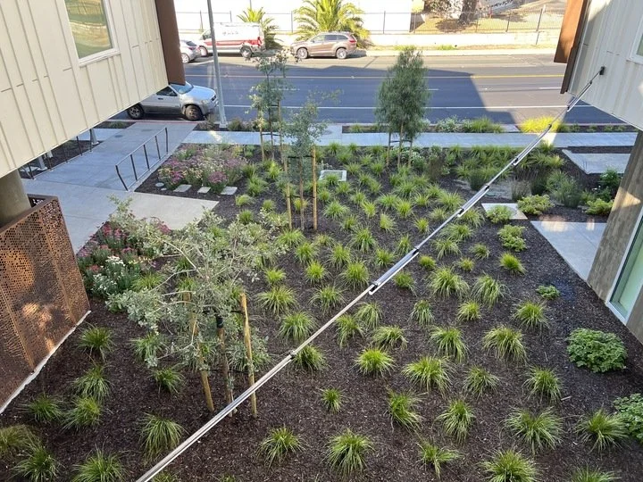 Blue Oak Landing — Fletcher Studio-62