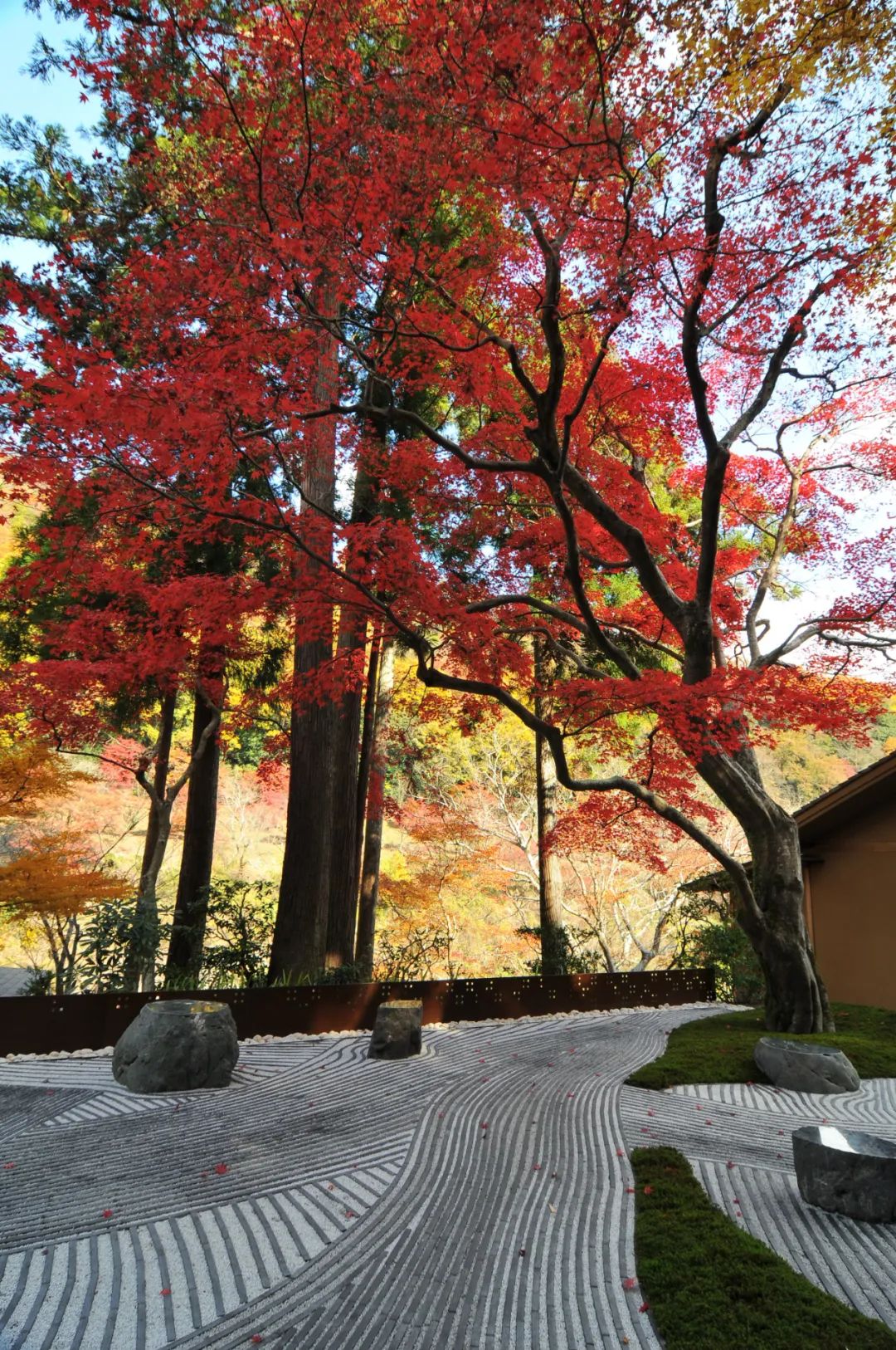 京都虹夕诺雅度假酒店丨日本京都丨Azuma Architect(东环境建筑事务所)-29