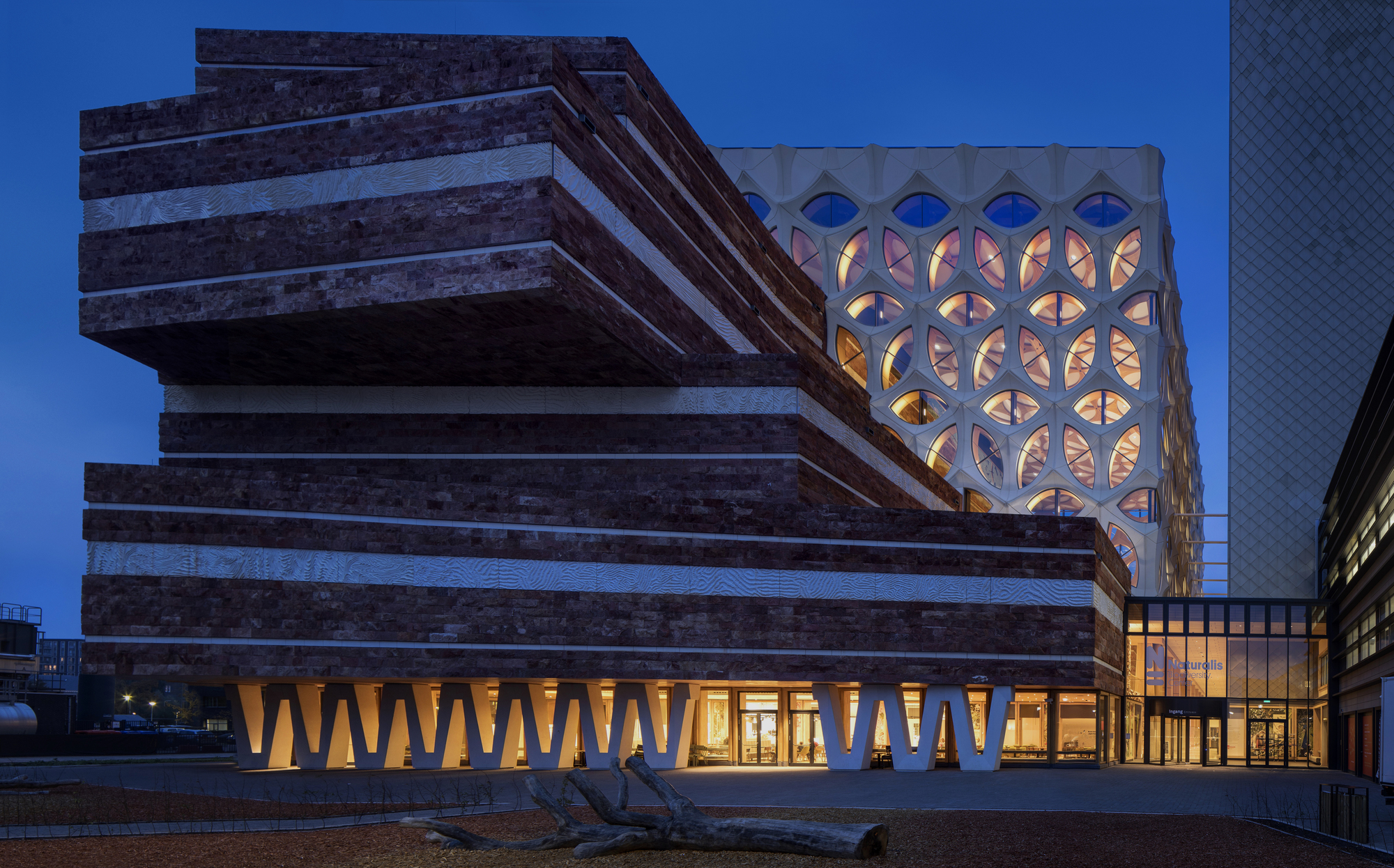 Naturalis Biodiversity Center / Hollandse Nieuwe-24