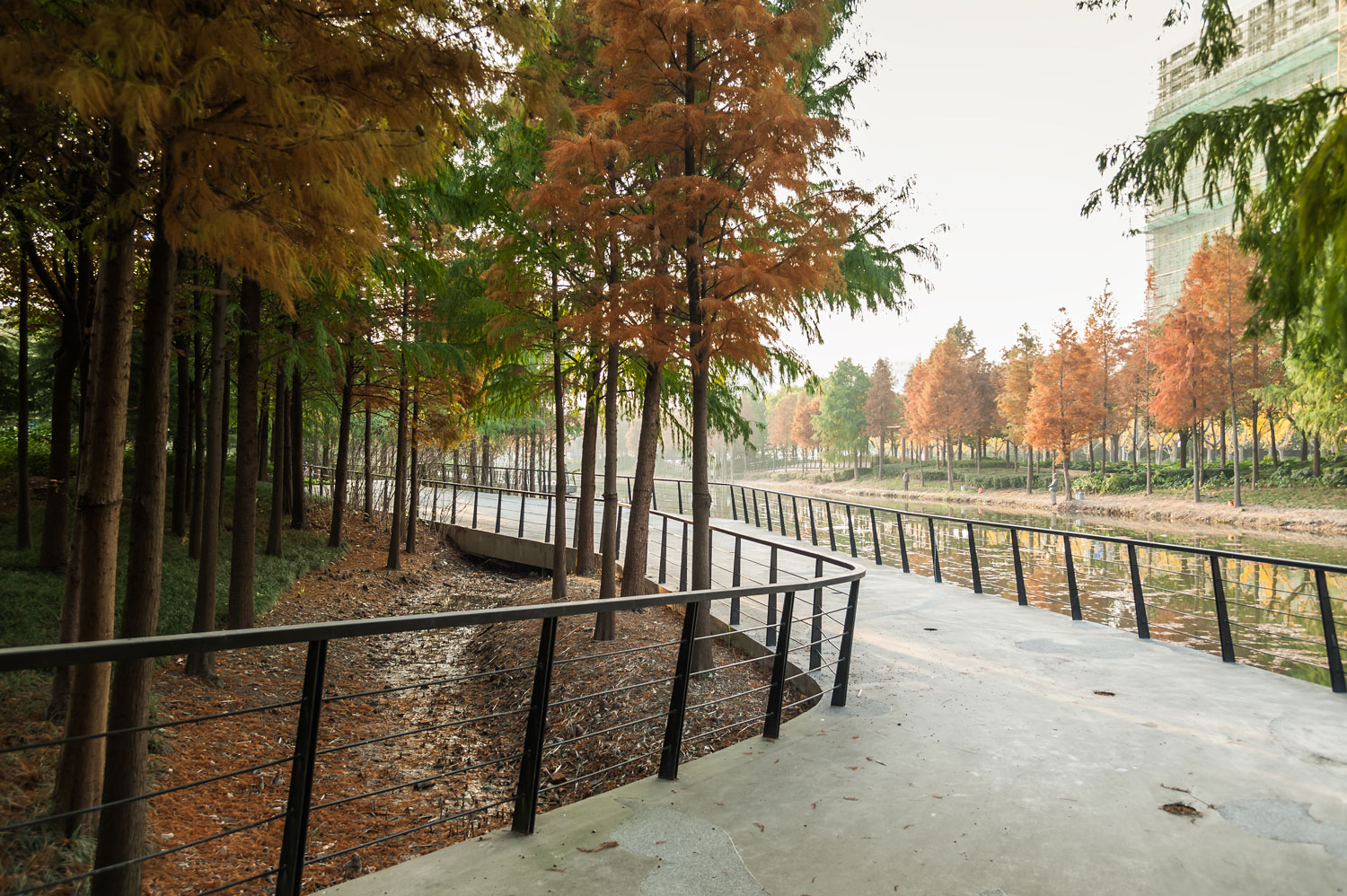 嘉定石冈门塘湿地公园-25