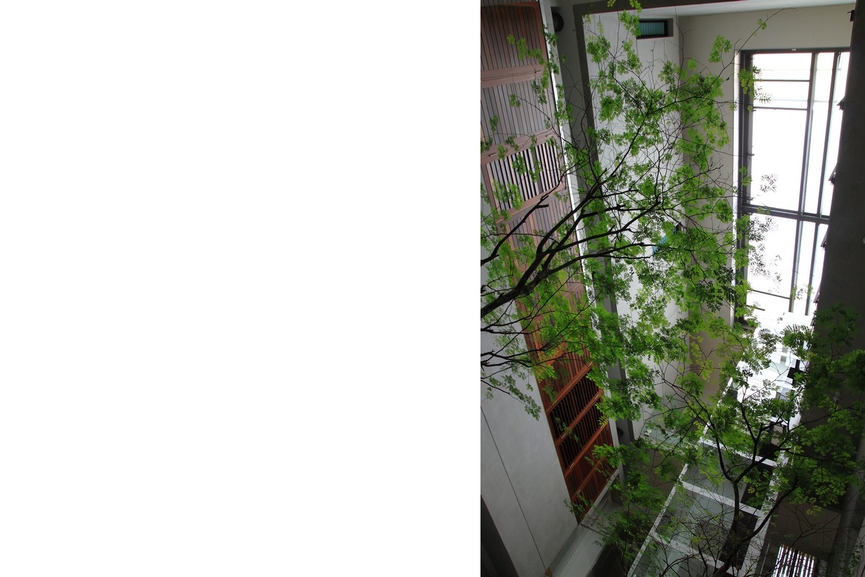 吉隆坡庭院住宅丨马来西亚吉隆坡丨Design Unit-14