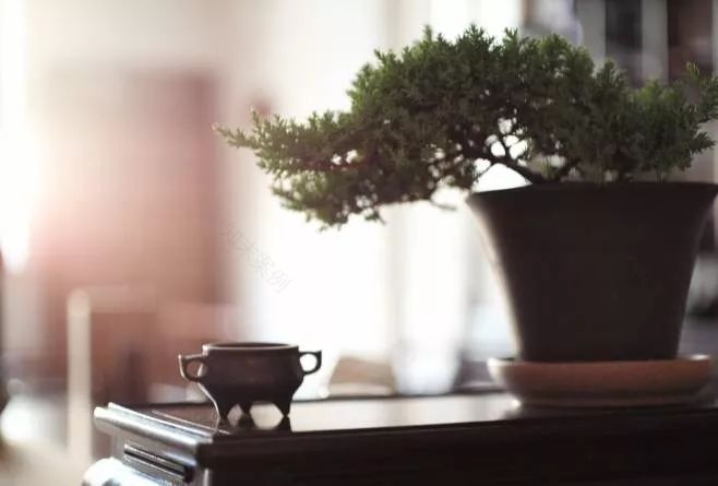 《五柳先生传》与杨绛的适意人生-30