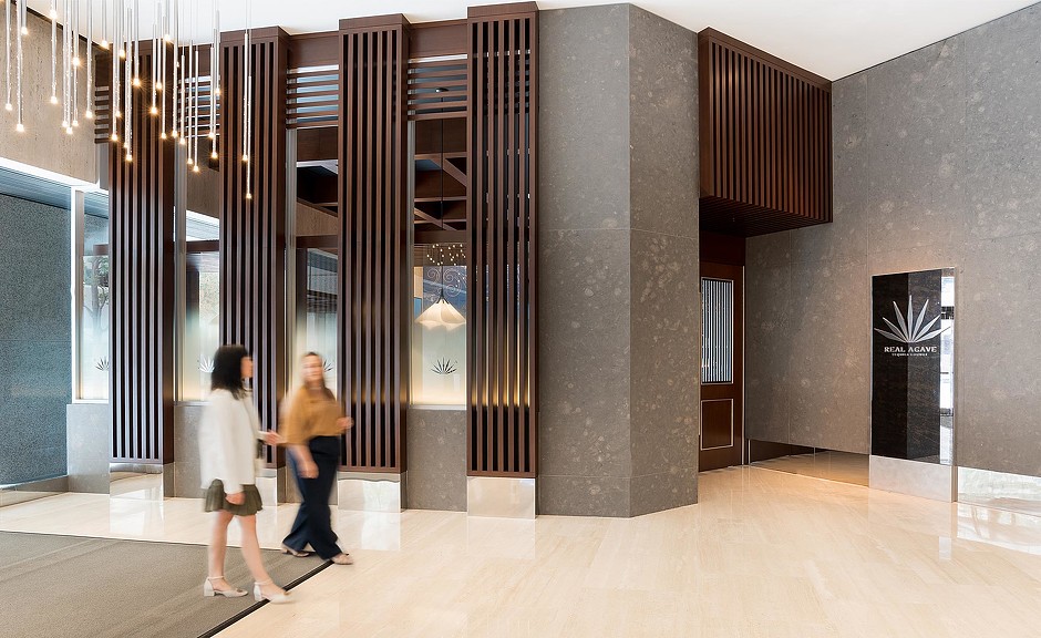 真正的龙舌兰-6