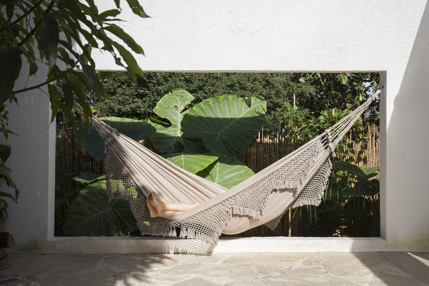 巴西神秘绿意建筑·Casa da Mangueira丨Alan Chu-22