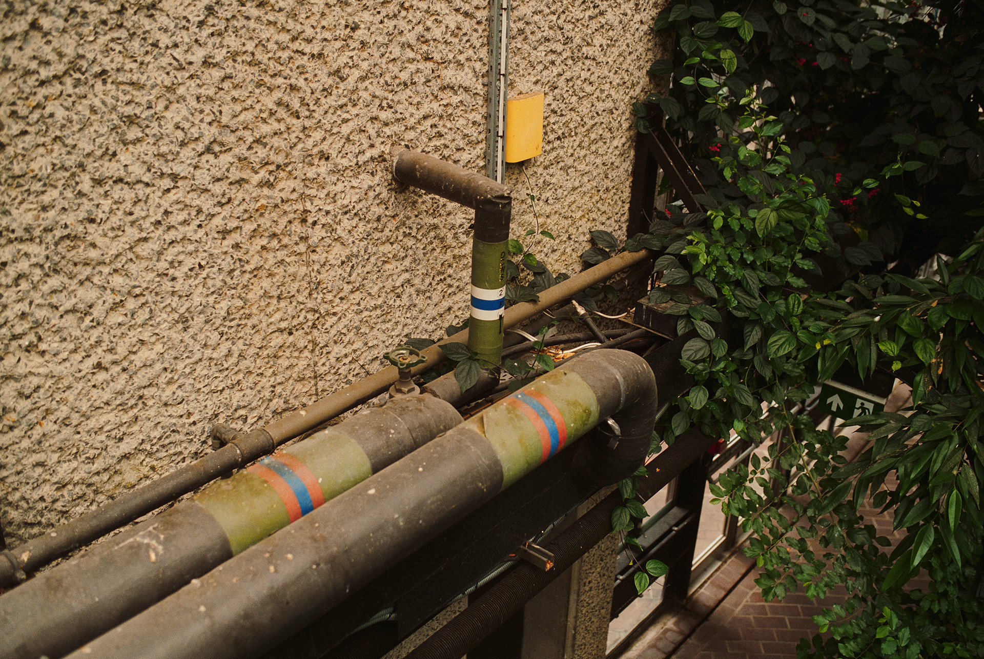 巴比肯温室丨英国伦敦-26