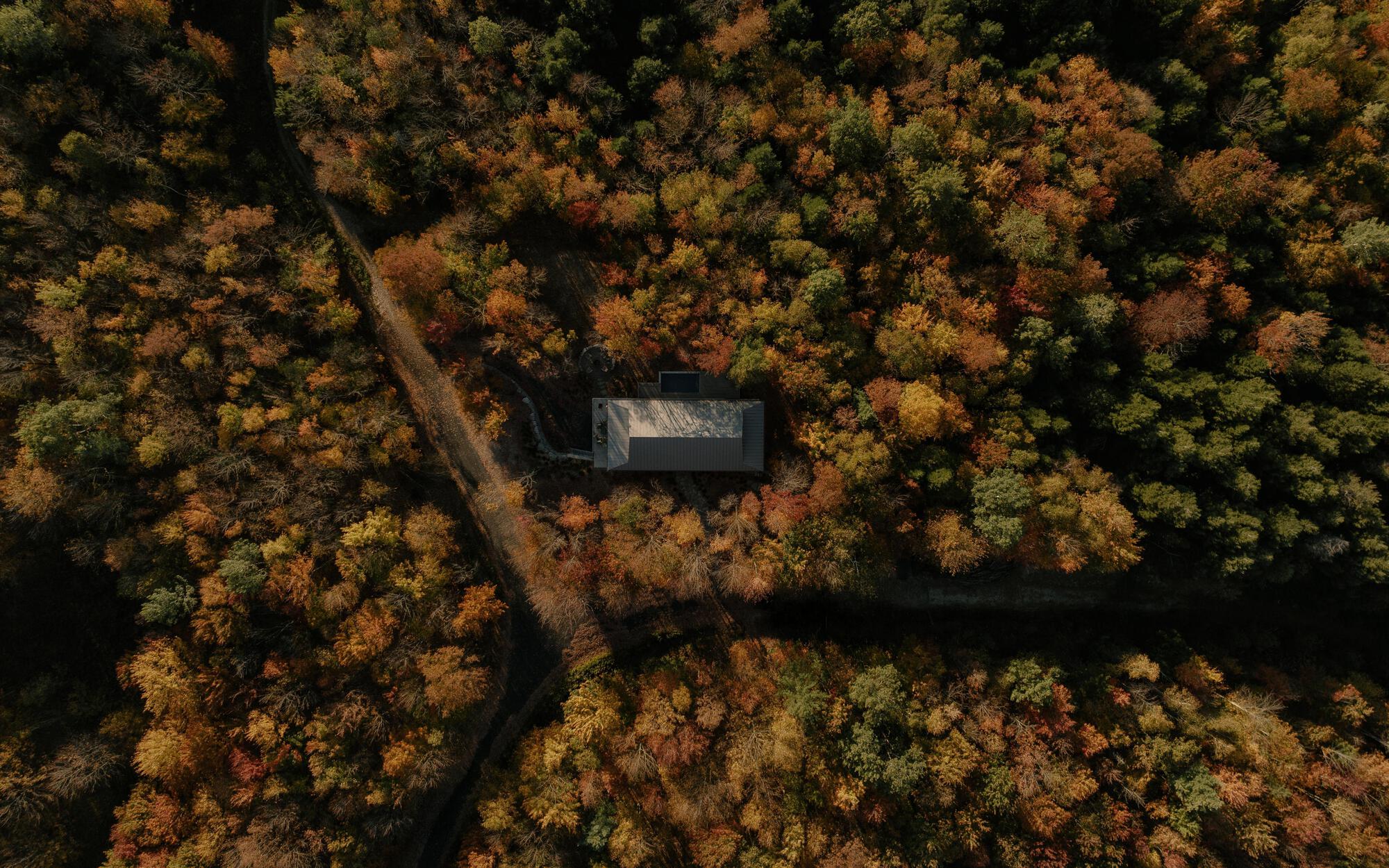 珀奇公寓（假设Perchée音译为珀奇，具体可能需结合实际情况确定更合适的名称） 丨加拿大丨Matière Première Architecture-29