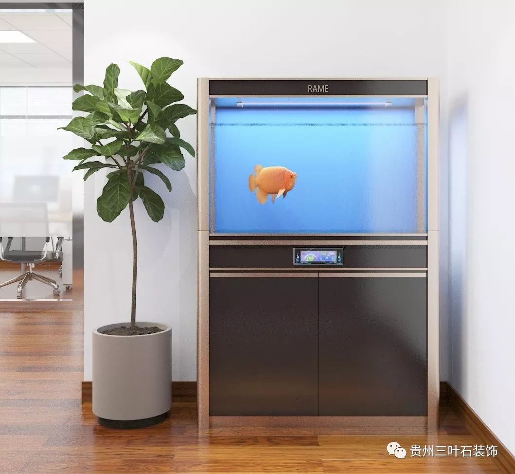2019 年鱼缸摆放与风水禁忌指南-5