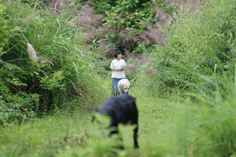 辞去工作，历时7个月，他们过上了有院子，有诗和远方的生活-36