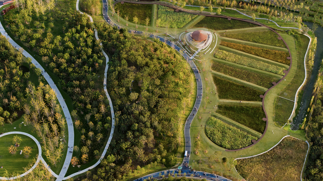 合肥骆岗公园景观设计丨中国合肥丨泛亚景观设计（上海）有限公司-76