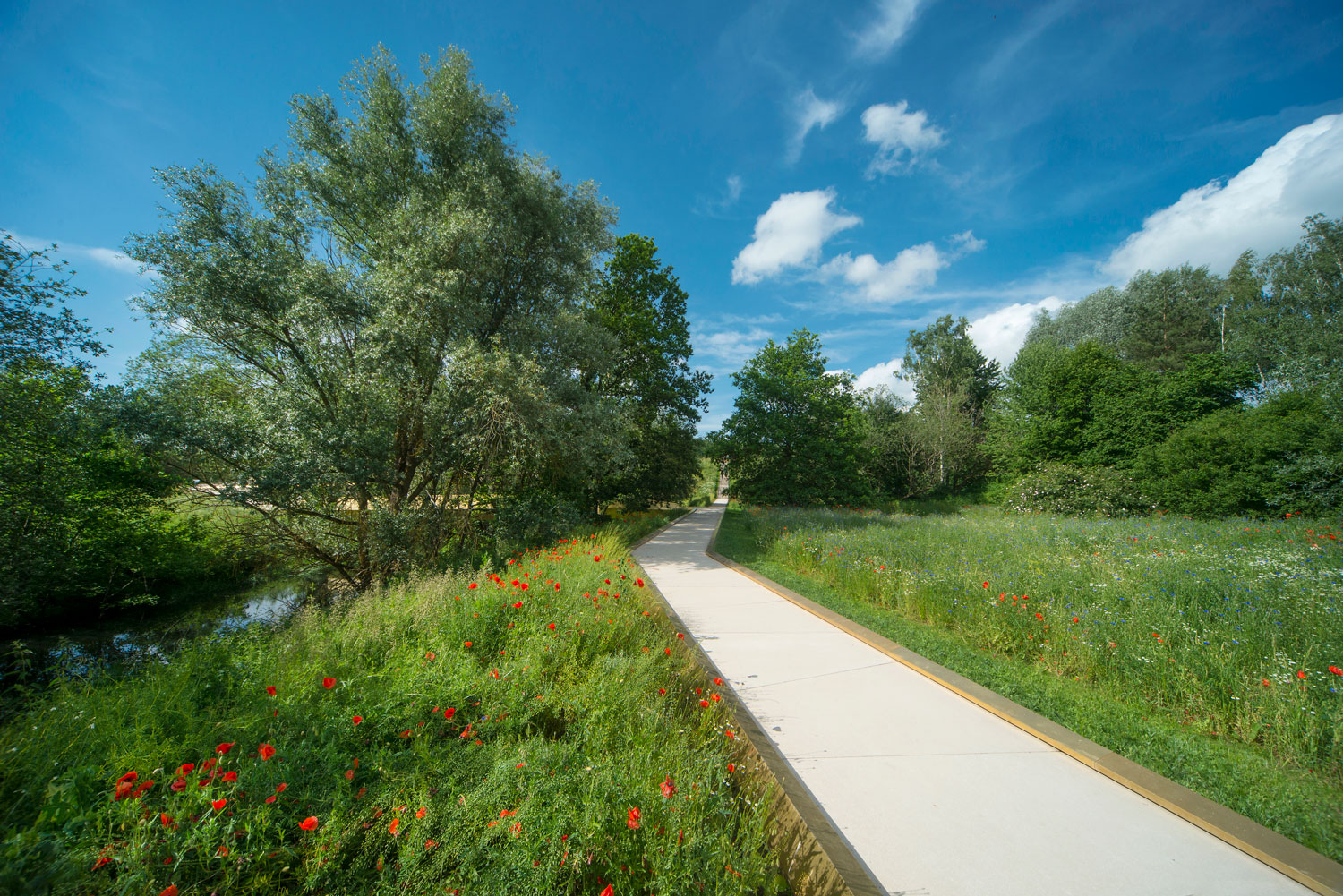 德国巴伐利亚园林展 Wassertrüdingen 案例解析-9