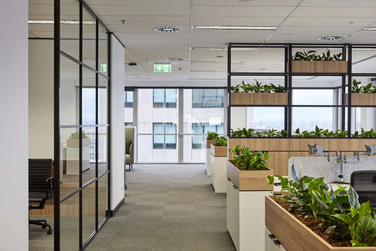 Over the Wire Offices – Brisbane-23