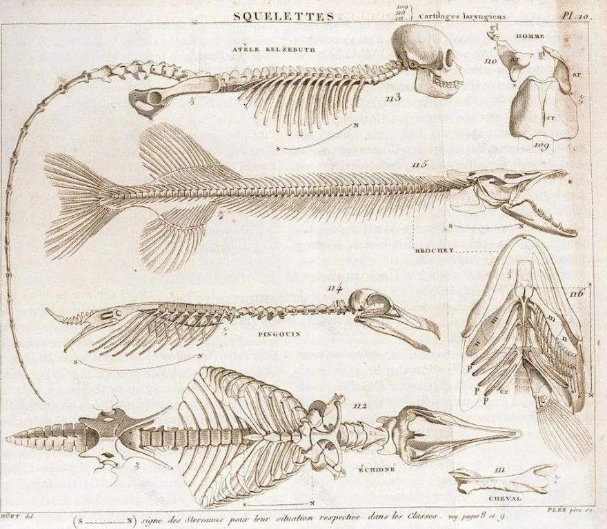 功能与建筑 | 现代主义的语汇与应用-16