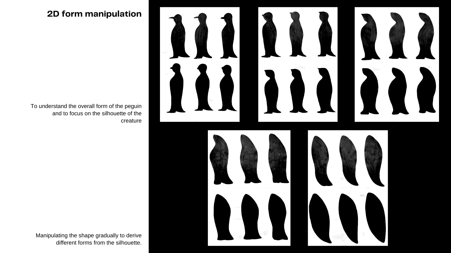 企鹅（花瓶）自然与形式丨Rahul Ashok Barve-20