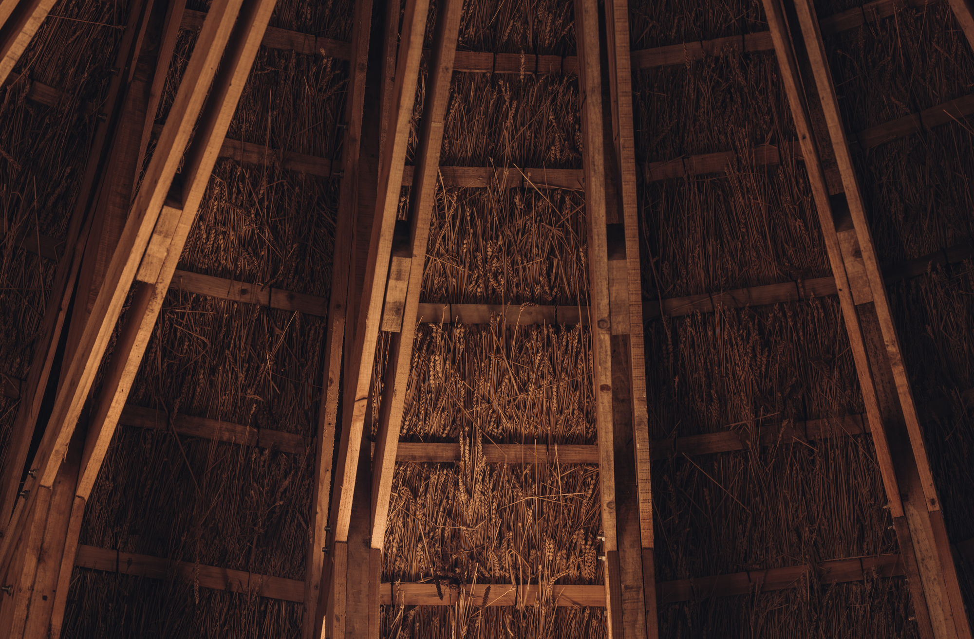 Mother Pavilion / Studio Morison-37