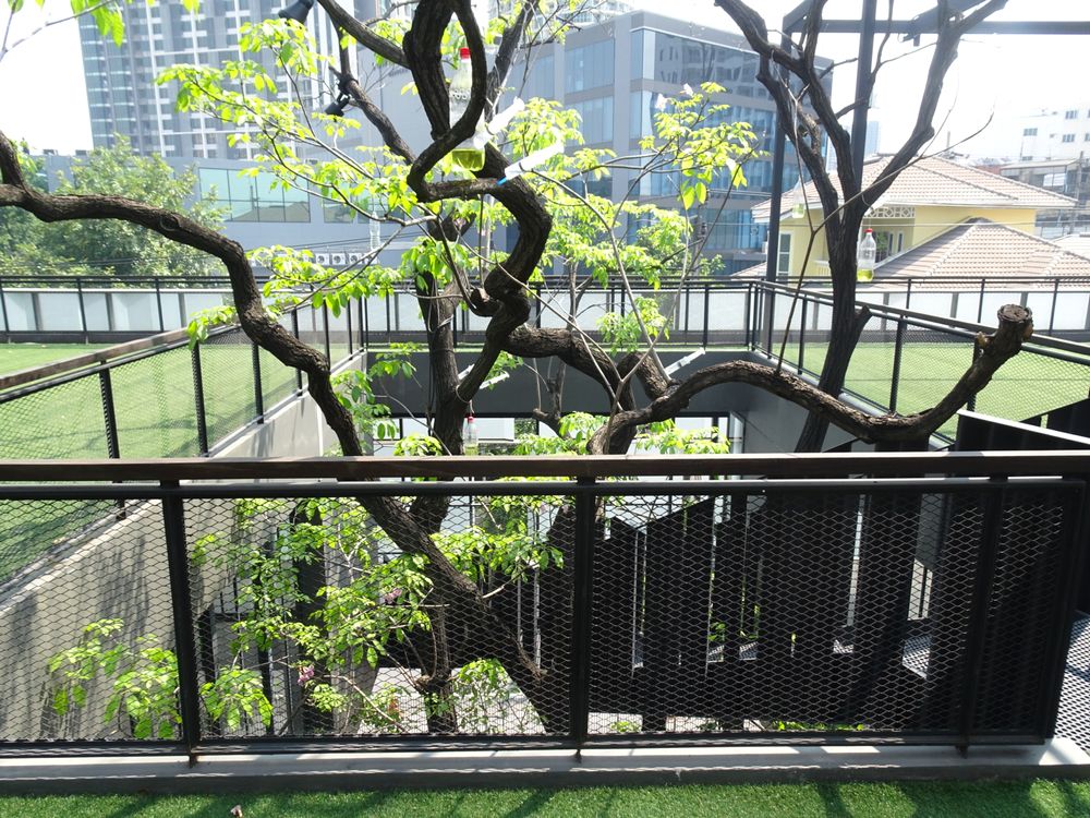 ナイイパ・アート・コンプレックス | タイ の建築【世界建築巡り】-49