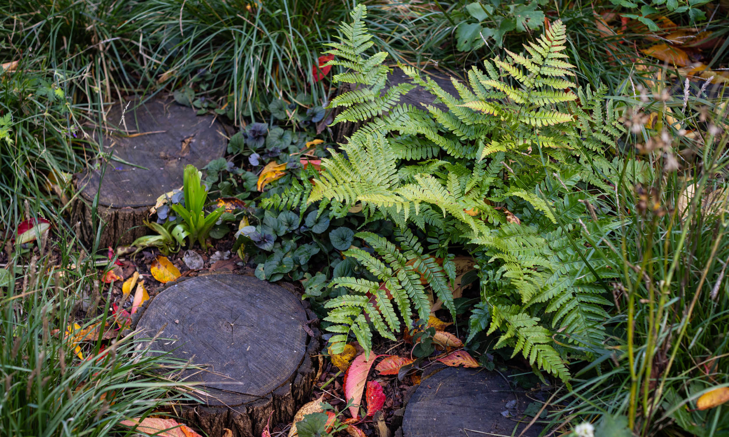 荷兰世园会  自然之境丨荷兰阿尔梅勒丨Stefano Marinaz景观公司（SMLA）-84