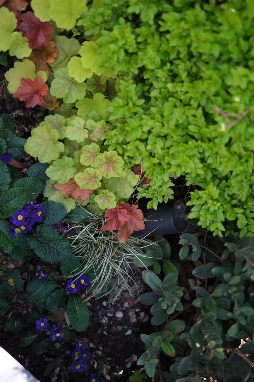 苏州森鹿公园丨中国苏州丨合展设计-18