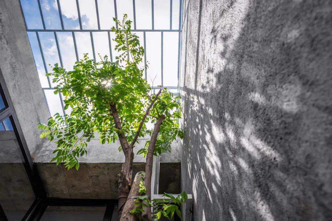 绿色环绕的越南西贡 94 平米住宅设计-28