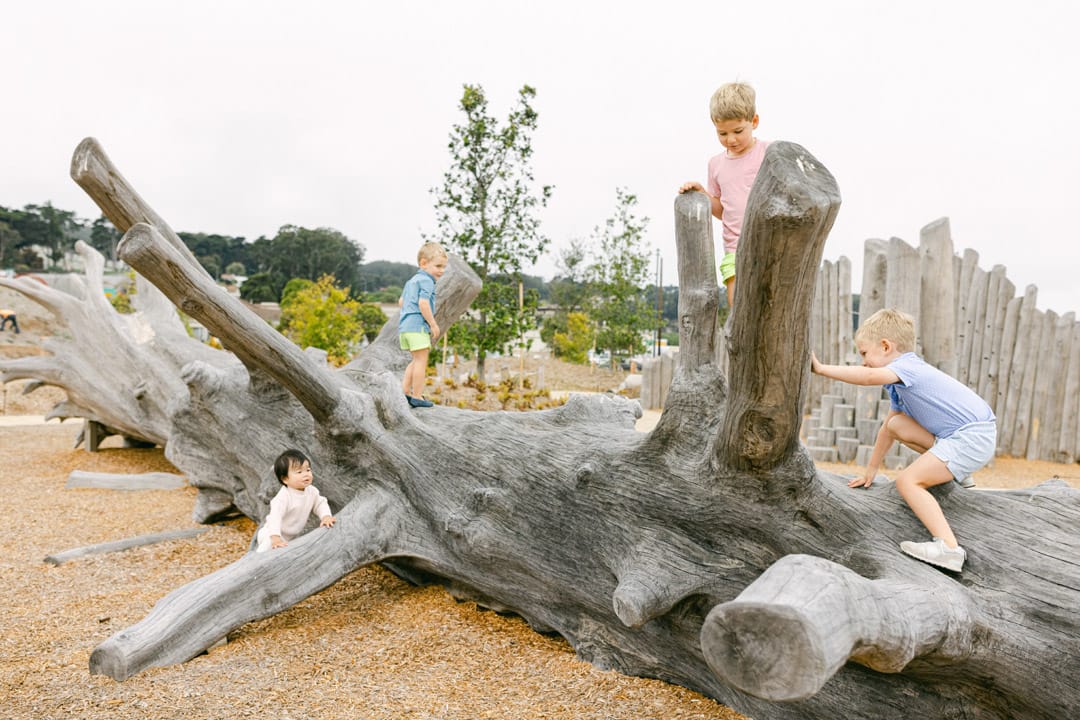 无忧之域 · Earthscape丨美国-28