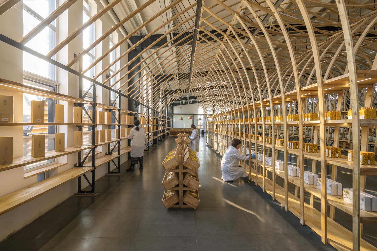 云台山冰菊展示架丨中国焦作丨LUO studio-21