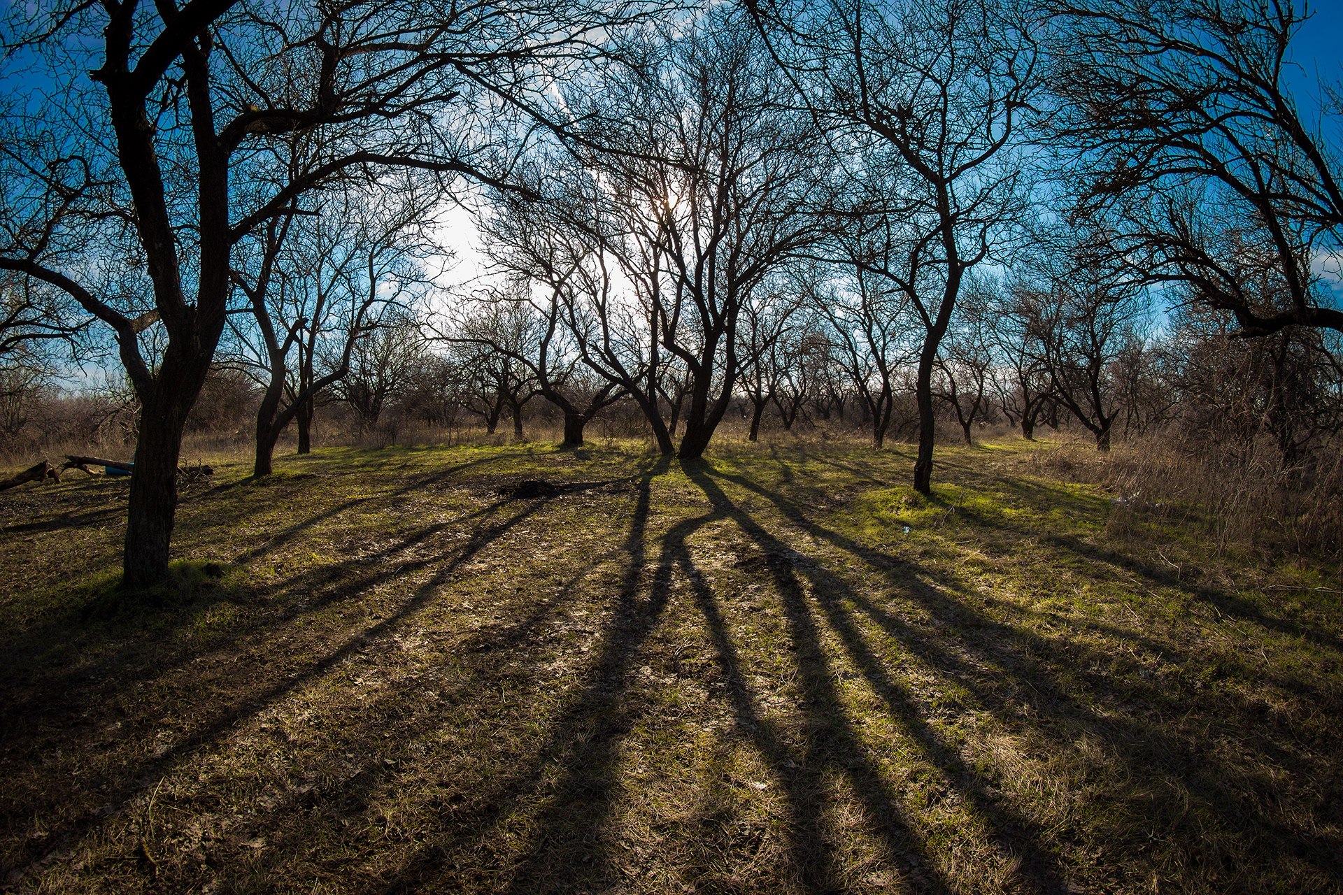 Photo, Rostov-on-Don-5