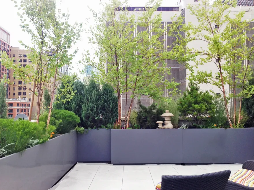 太平洋街排屋丨Alive Structures-1