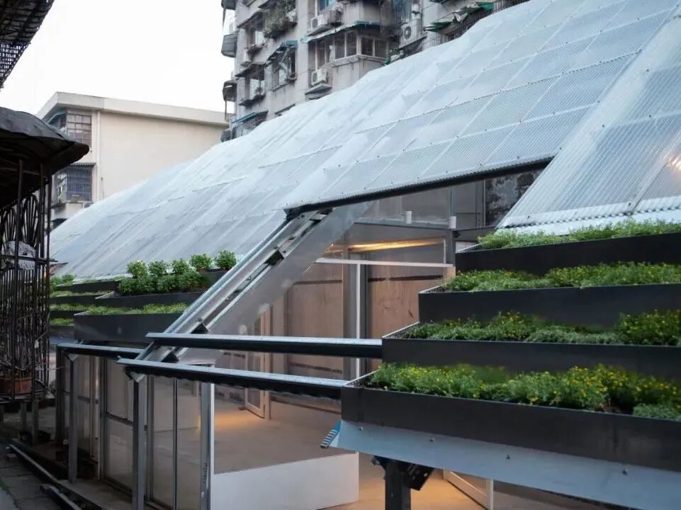 CACPA|花花花画画画-7