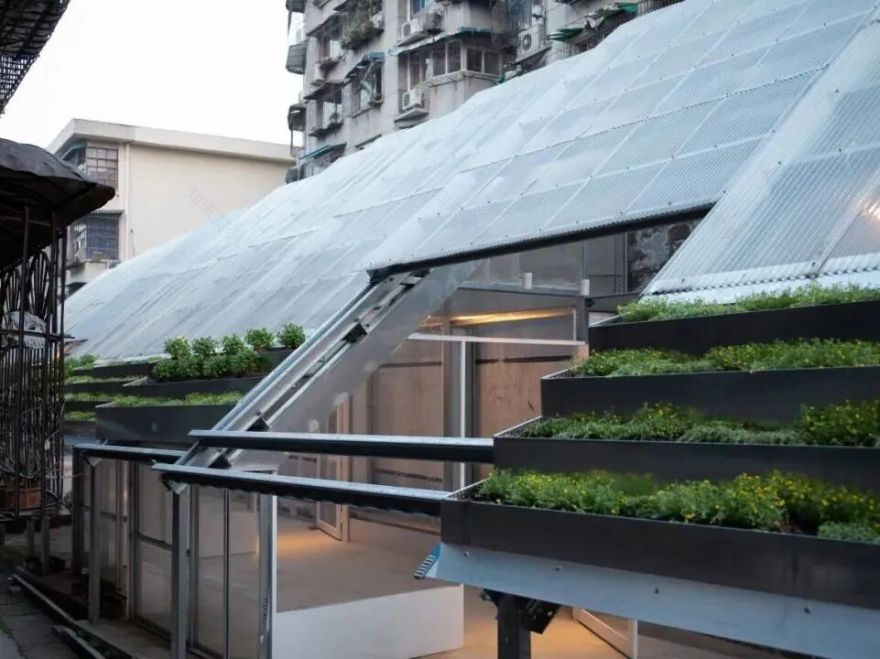 CACPA|花花花画画画-7