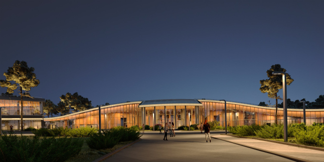 “Дерево на арене”相关建筑项目（含“Агора”等）丨俄罗斯莫斯科丨ПИ «АРЕНА»,Mecanoo（教育中心前期）-25