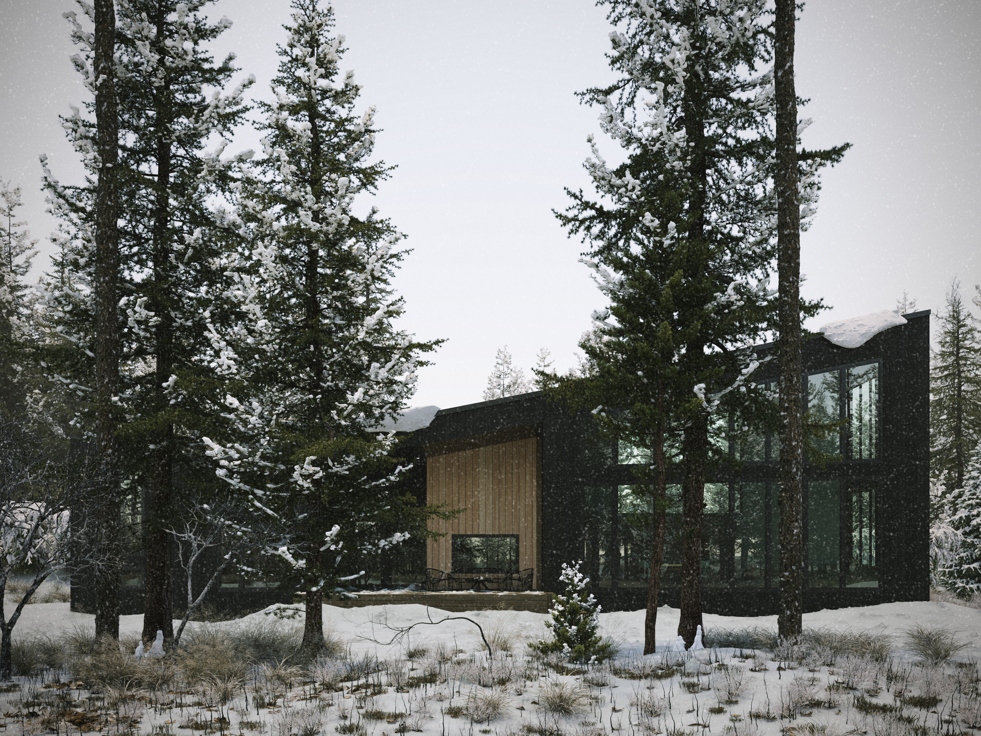 Zimowa建筑外观可视化-0