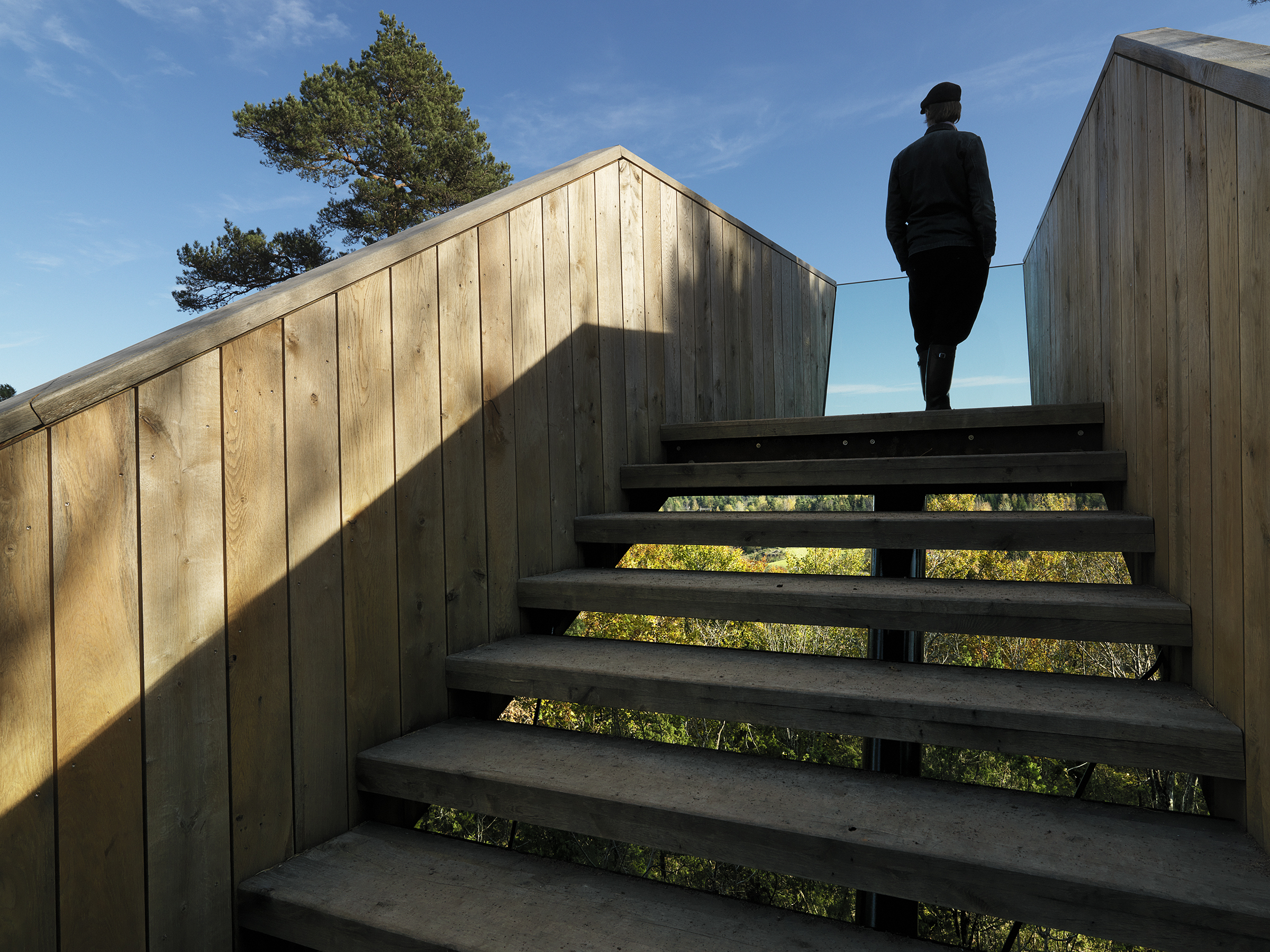 挪威斯托克 Sti For Øye 雕塑公园中的森林楼梯 / Saunders Architecture-6