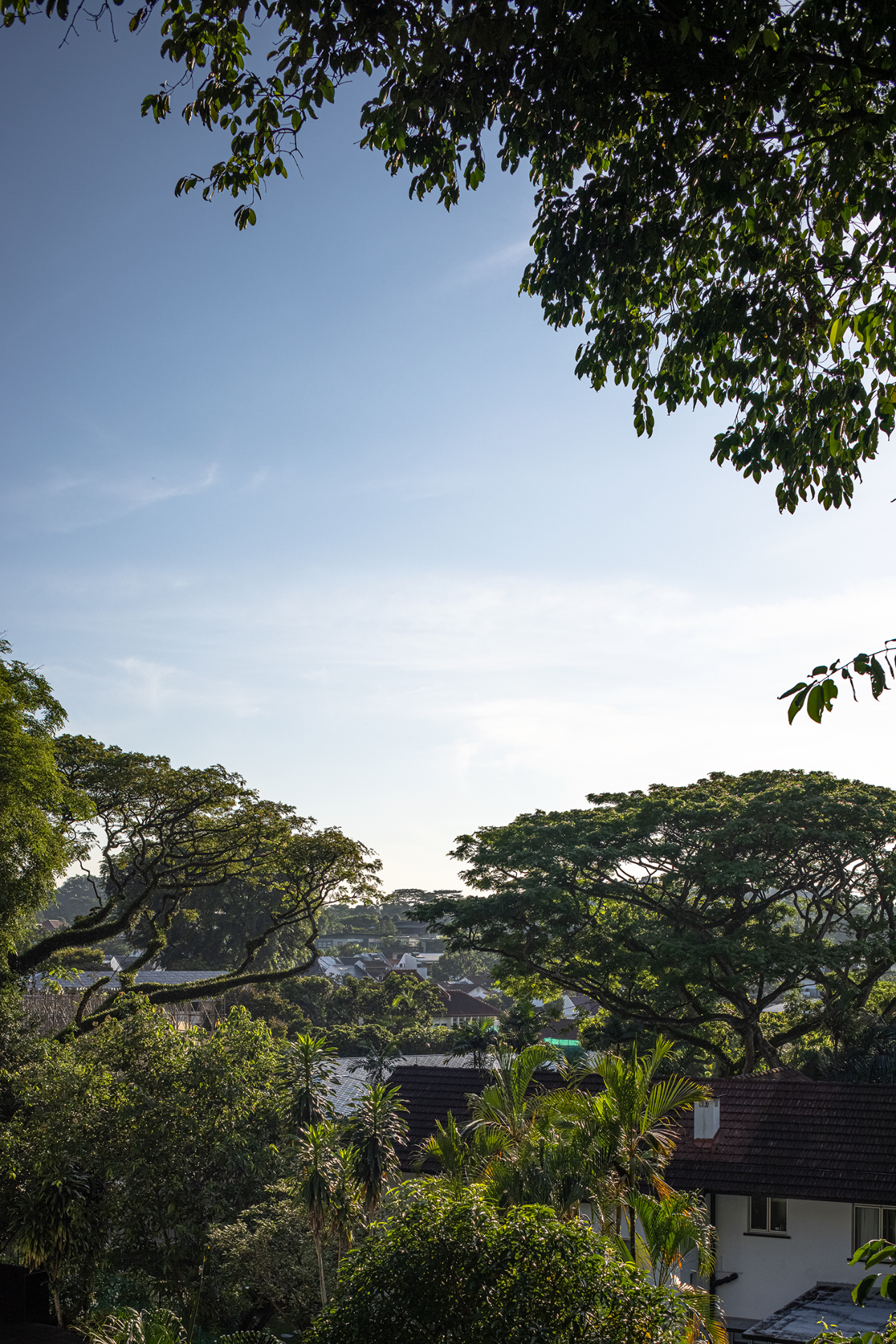 新加坡黑白屋丨杨钧设计事务所-0