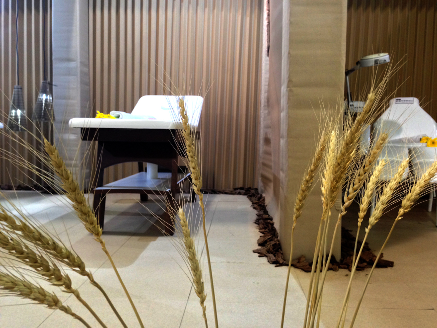 WeNew 创新打造环保纸疗诊所-25